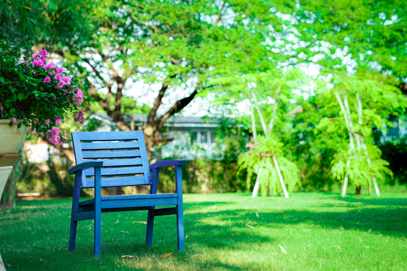 Mental Health First Aider - the benefits