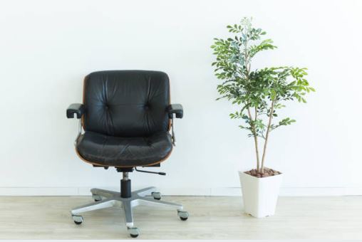 Chair and plant