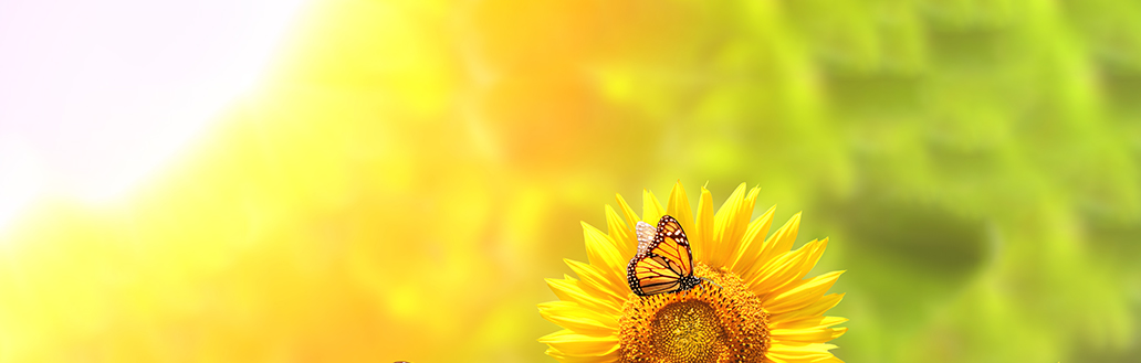 What is Mental Health First Aid